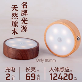 野营/露营灯;小夜灯;移动工作灯