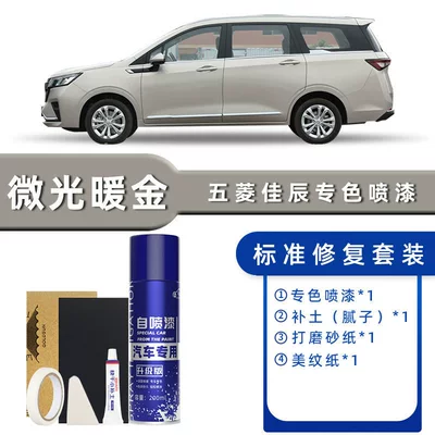 Wuling Jiachen Self-Spray Paint Warm Avtomobil boya qələmləri - color-classification-shimmer-warm-gold-standard-repair-send-soil-replenishment-simple-tools