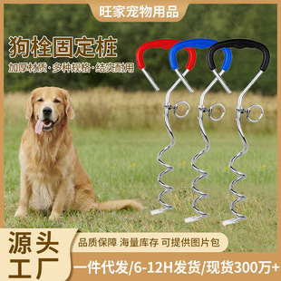 Explosive outdoor bolt dog pile traction rope fixed pile iron chrome plated ground pile ground nail metal pet supplies dog pile