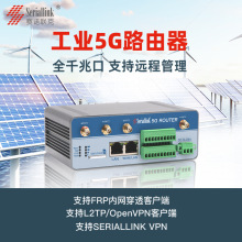 ِ�Z���pSIM�����I��5G·����CPE��2·RS232/485����4·DI2·DO