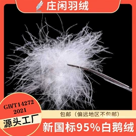 羽毛、羽绒;羽绒被