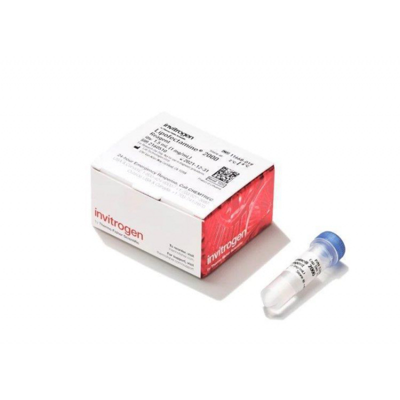 赛默飞life lipo2000转染试剂11668027规格0.75ml