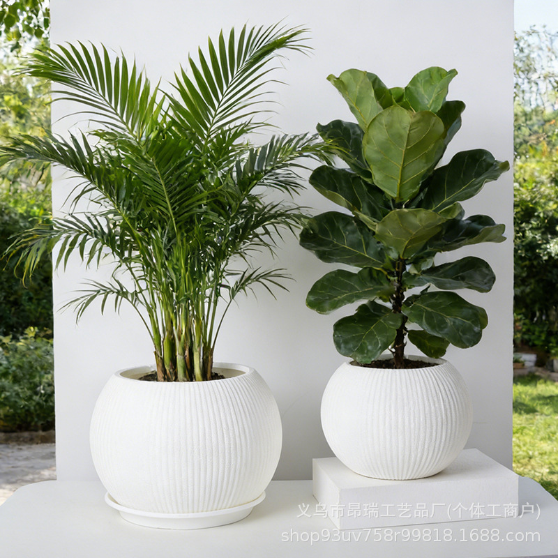 Potas de plástico super grandes simples rayas blancas gruesas tortuga profunda bambú rico árbol jardín al aire libre gran maceta