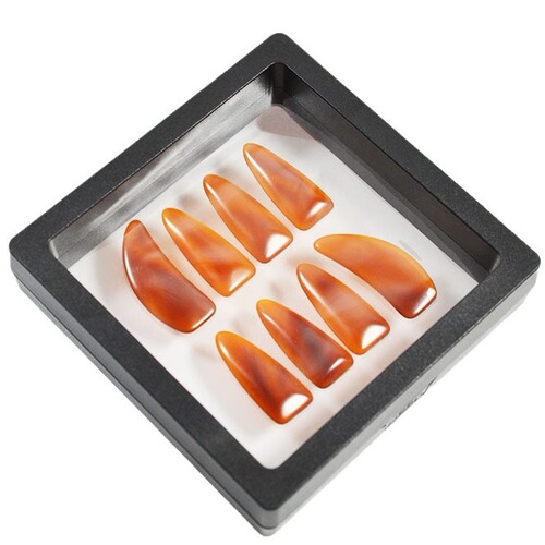 Manufacturer wholesale guzheng nails college style teacher Wang Zhongshan playing type adult and children guzheng nails