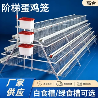 阶梯蛋鸡笼镀锌蛋鸡笼三层四门白槽绿槽家用规模化养鸡简易阶梯笼