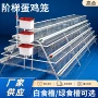 家用简易四门养鸡蛋鸡笼