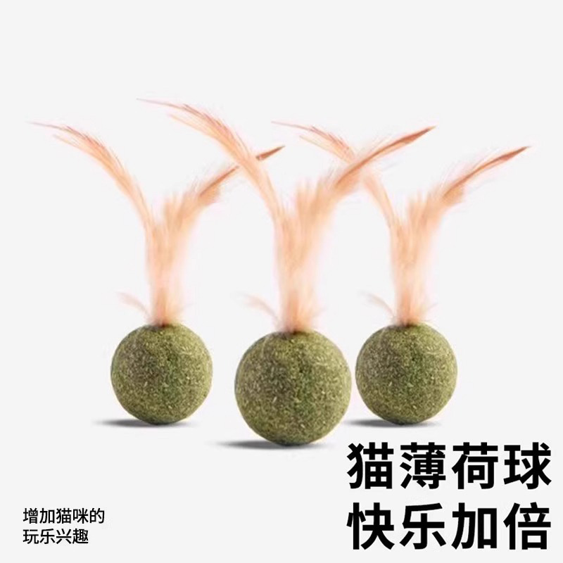 캣닢볼, 깃털, 고양이 장난감, 자기 자극 및 지루함 해소 도구, 새끼 고양이 및 어린 고양이 어금니 스틱, 고양이 용품
