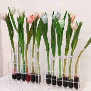�r����ˇ��ɫ��Ⱦɫ��ɫ���R����ins�������}�������{����diy����