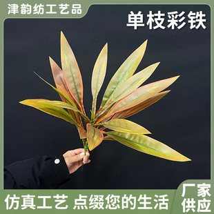 �羳������Ѫ���F����^����ľ�Gֲ���Լ٘��쾰�҃ȼҾ��b[��