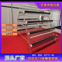 四层五门阶梯式蛋鸡笼   镀锌工艺  耐腐蚀 空间错位粪便易清鸡用