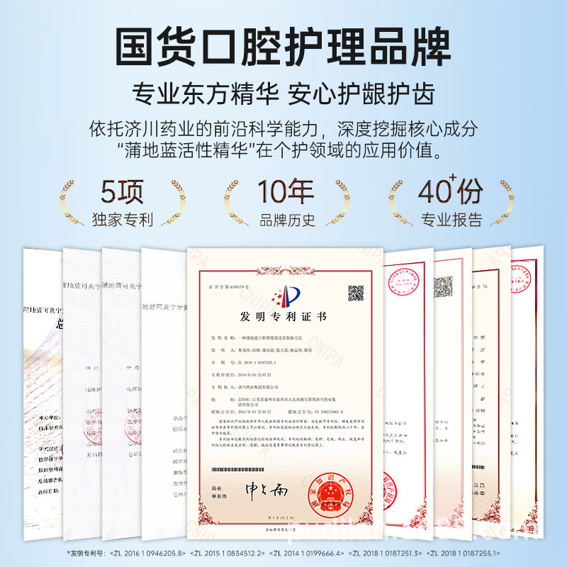 Pudilan スペシャルケア歯磨き粉オーラルスペシャルケア 100 グラムミント風味フッ化物フリー歯をきれいにし、歯茎の問題を軽減大人|undefined