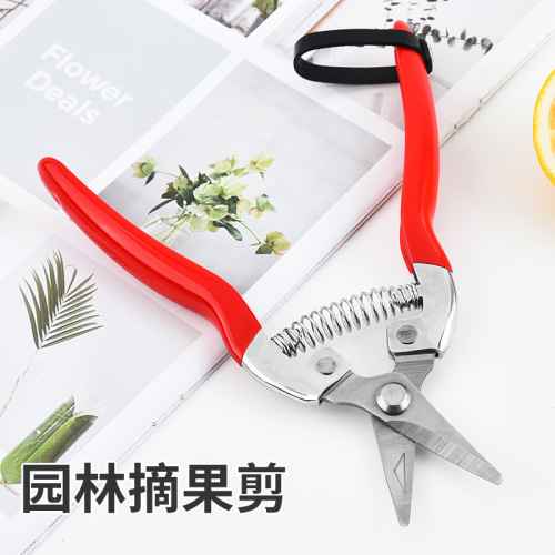 Manufacturer Stainless steel fruit picking scissors, flower garden scissors, fruit tree pruning scissors, grafting branch pruning scissors