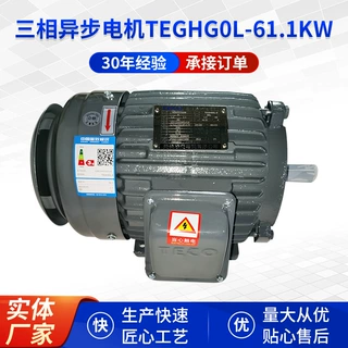 三相异步电机TEGHG0L-61.1KW三相异步电机灰色纺织机配件批发