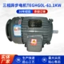三相异步teghg0l-61灰色配件