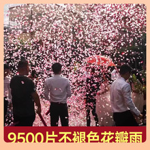 ����Ͳ��Y��ȫ�Y���ʽY�黨�껨����Ͳ�Y���ֳ�?��YͲ��cE18