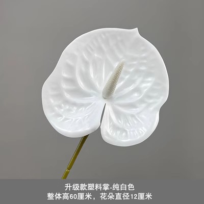 업그레이드된 흰색