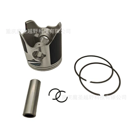 气缸及部件;点火器;活塞/活塞环