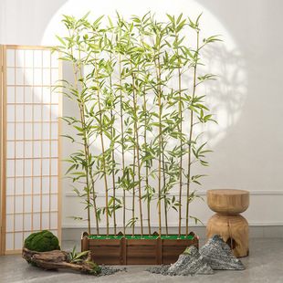 ���ܷ��������̈������θ�����Gֲ����^�~�侰�^�b�߷���