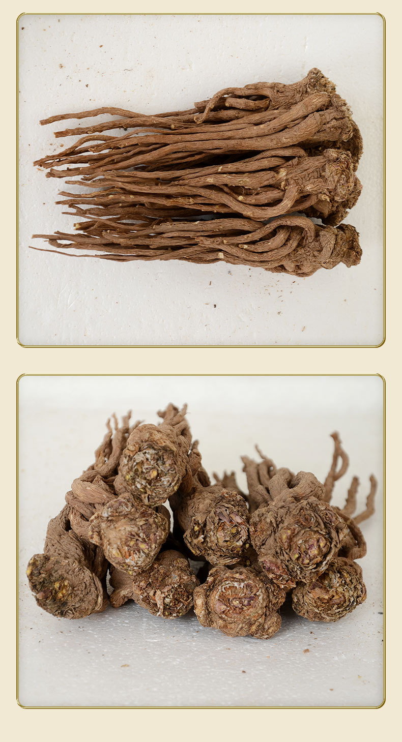 Premium Dang Gui from Dingxi Min County, Large and Medium-Sized Whole Roots, Sulfur-Free, New Stock, at Prices detail image