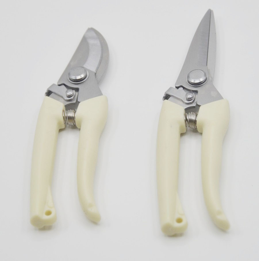 批发鹰嘴果枝剪 粗枝盆栽剪刀 园林园艺修枝剪刀 花园果园修枝剪