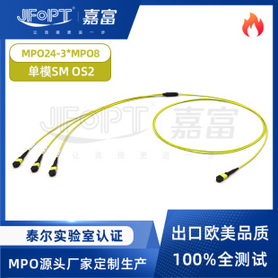 �θ�24оMPO��֧������ģOS2 MPO-24�D3*MPO-8���͓p�����ɷ�֧