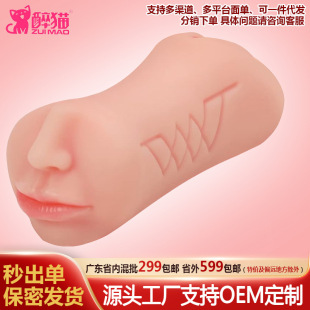 ���{��Ѩ������Ĥ���k�p�^�羳���N���������ꎸ���Ȥ���k�w�C��