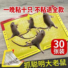 強力な粘着マウスボード、強力なマウススティック、新しい家庭用強力な接着剤、大きなネズミを捕まえて殺す、ネズミボード、ネズミ駆除