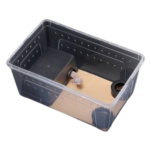 Scum box reptile box mantis jumping spider silkworm rearing box reptile ciliary horn hermit crab rearing box