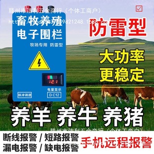 Livestock breeding electronic fence breeding cattle sheep pig high voltage pulse host pasture electric fence protection net system