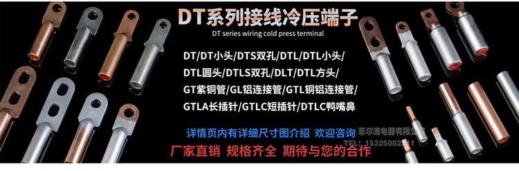 2.DTL详情页上_02.jpg