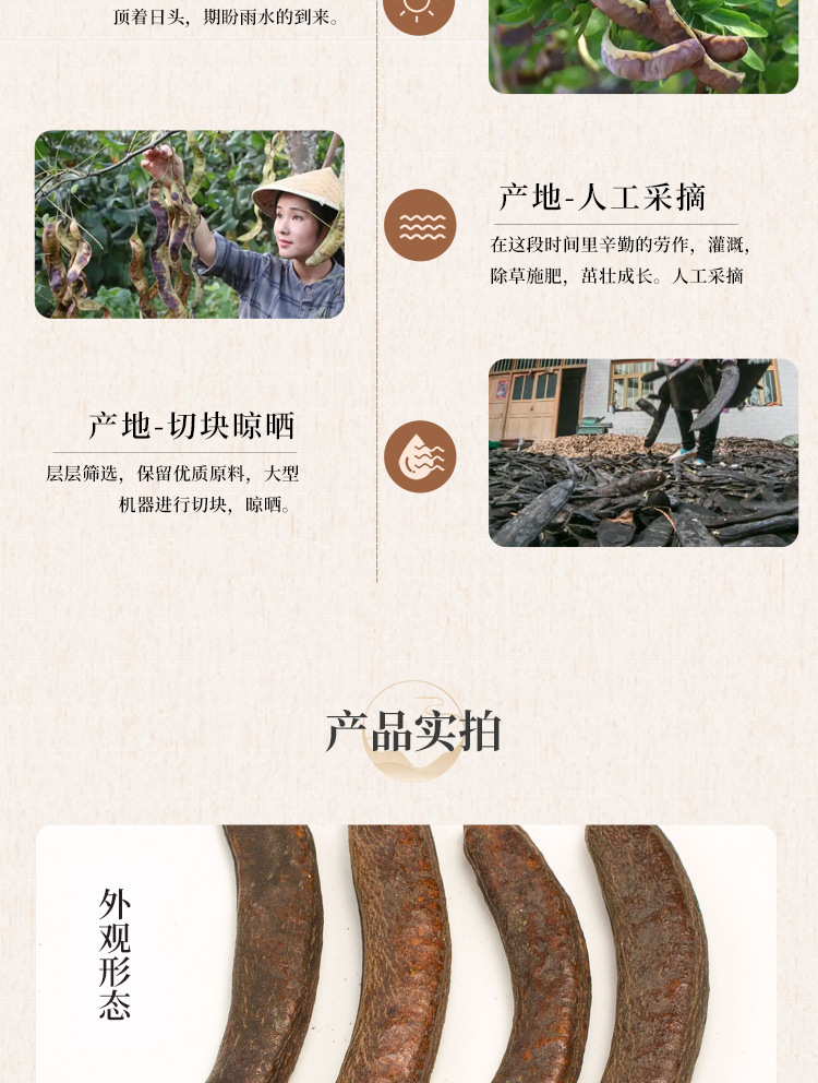 Natural Chinese Honey Locust Zao Jiao Dried Pods Traditional Herbal Ingredient Bulk quality and texture