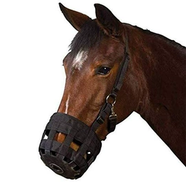 家用防尘罩;保健护具;马术用品