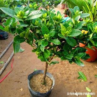 ���U���~�d�ӻ����������ĵ���d�ӻ�������ͥԺ�̨�͏d