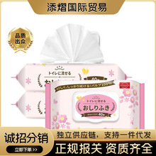 森伝湿厕纸加厚可冲马桶卫生清洁成人用湿纸巾 80抽/包清爽