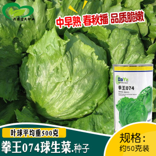 ȭ���Y�����˷N�� �r��ˈ@�߲����Դ��ﲥ�������������׷Nֲ