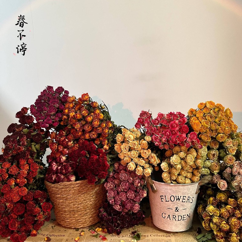 雲南昆明直発多頭バラの花の単頭バラの花の花束バラの泡飾りメーカーの卸売り|undefined
