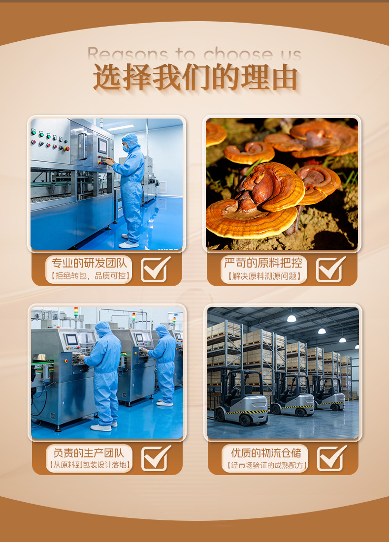 Wild Chaga Mushroom Raw Blocks Bai Hua Rong Sourced from Changbai Mountain 100g overview