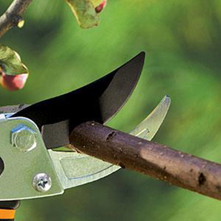 O1CN01tOu0vk1kAXlH1h6Yf_!!9836