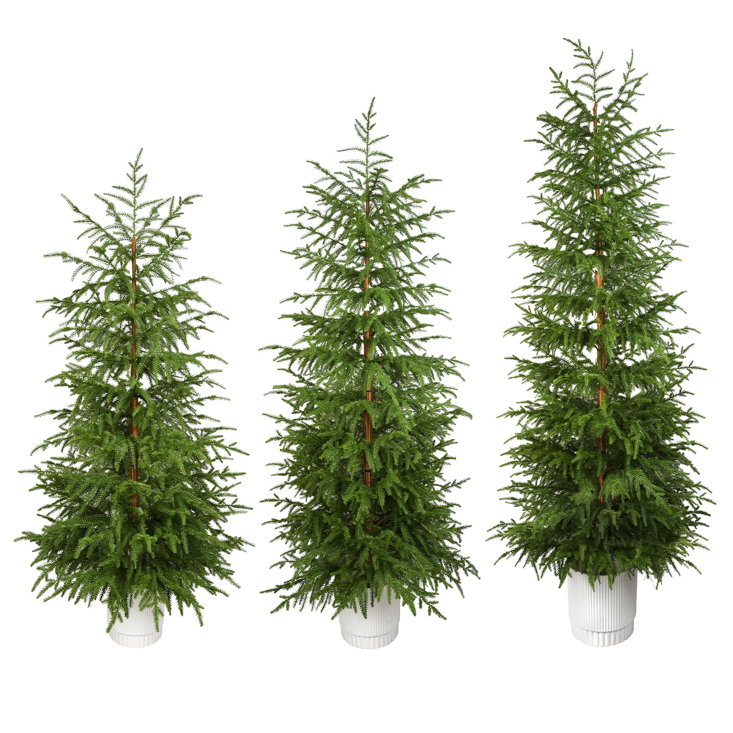Navidad 2025 nuevo árbol de Navidad PE puro de alta calidad decoración decorativa se puede utilizar para el diseño de la escena bonsai para el hogar