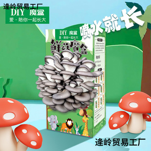 Ģ�����Ӿ��������Nֲ���ÌWУ���YƷ�׃��@�N��ֲ��ä�ж��⸣��