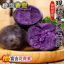 �������������ڽ������r��ɫ�����R��������˴���t����5���߲�