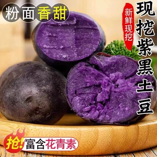 紫土豆黑土豆黑金刚新鲜紫色洋芋马铃薯黑美人大果红土豆5斤蔬菜