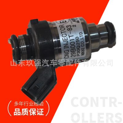 Yanacaq injektoru (Forsunka) Valve Assembly, for diesel