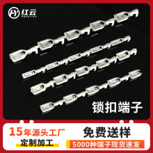 供应4.8带锁直连端子187插簧冷压接线端子250自锁直型端子