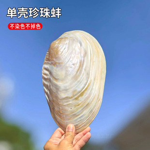 ��Ȼ�������������ؐ���Ĕz���ߺ����~���쾰�b[�����P�ͱP