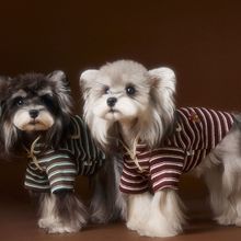 小狗狗衣服秋冬款条纹卫衣雪纳瑞比熊博美马尔济斯腊肠猫咪