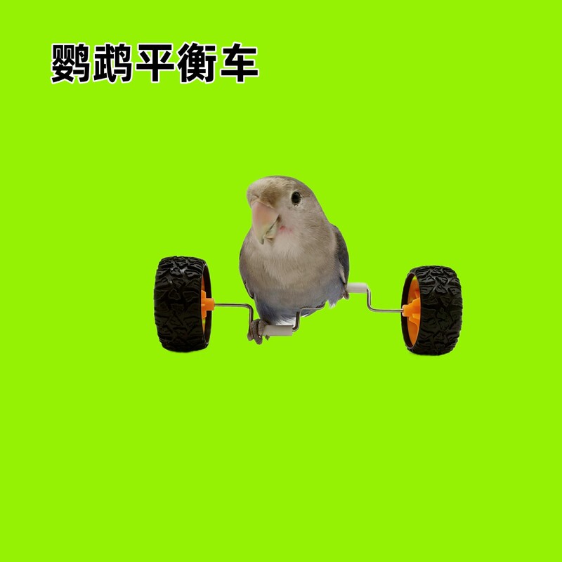 Parrot Toys for Entertainment, Balance Bikes, Small and Medium-Sized Bird Supplies, Roller Skates, Skill Training Props, Cockatiel Toys Parrot Toys for Entertainment, Balance Bikes, Small and Medium-Sized Bird Supplies, Roller Skates, Skill Training Props, Cockatiel Toys