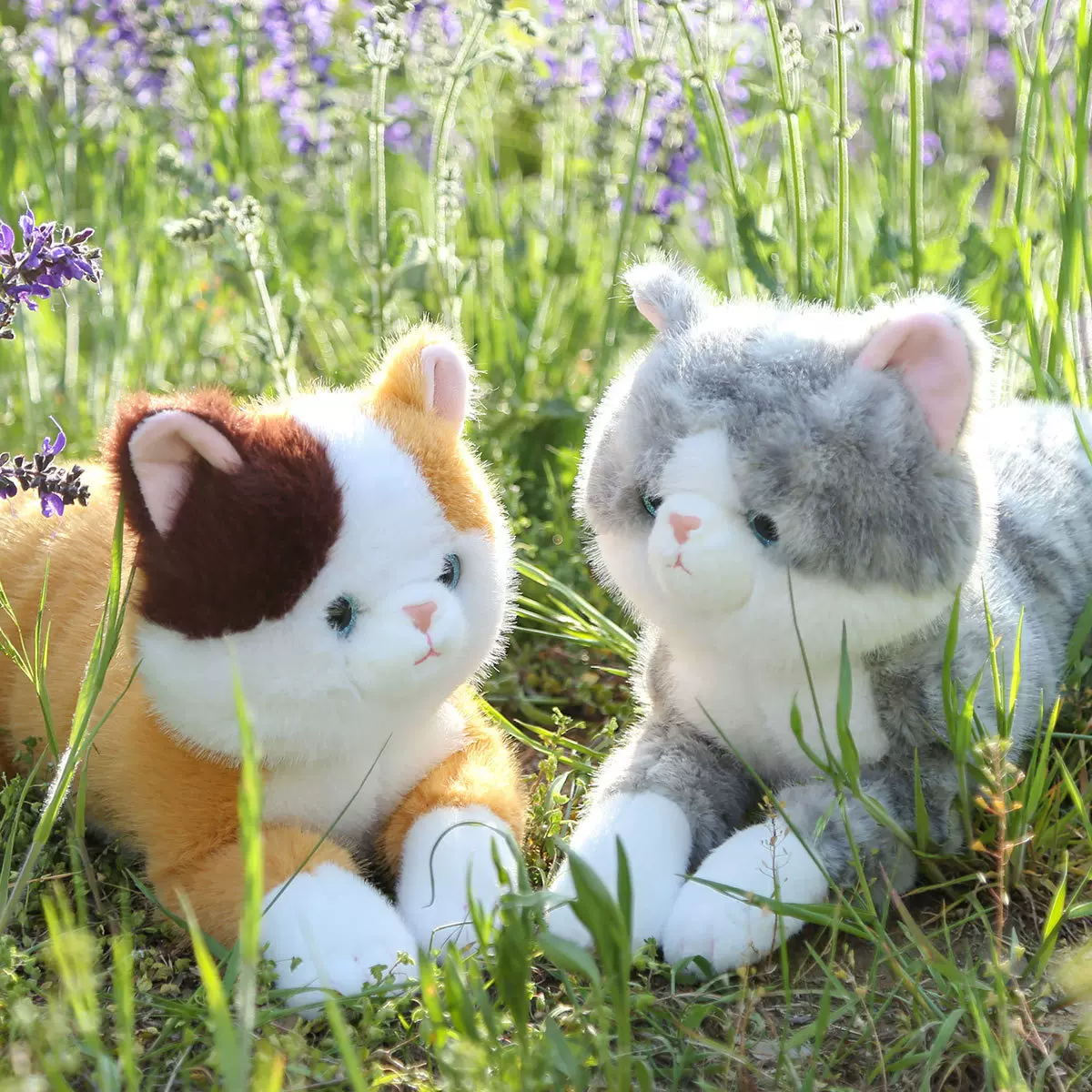 抱抱宝贝橘猫公仔小猫咪毛绒玩具仿真安抚玩偶布娃娃男女生礼物批