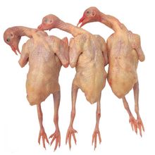 �F�����r������3ֻ��S���]�����r��ɢ�B�����Ӝ����������r���l