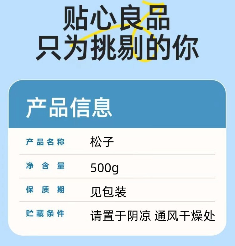 Pine Nut Kernels Song Zi Ren Shelled Ready to Eat Snack 500g in use